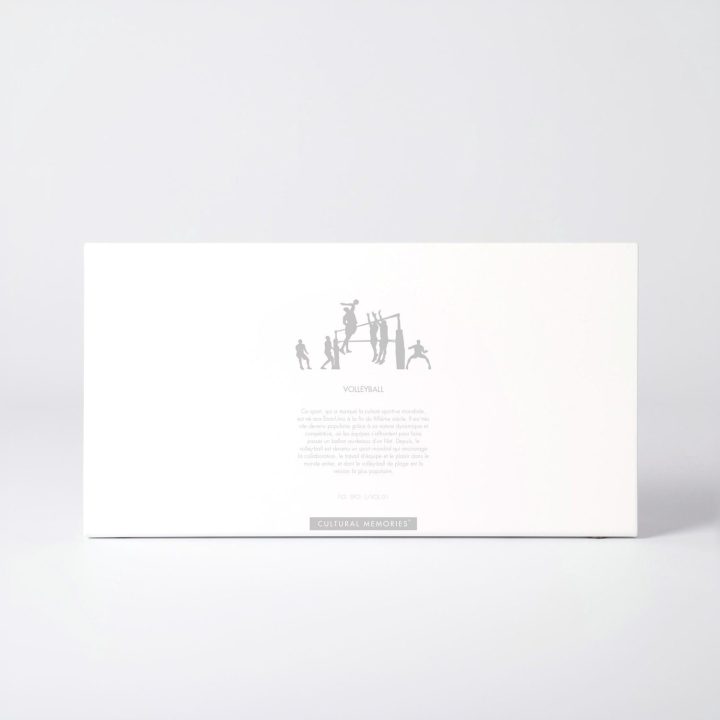 Coffret de la figure "Volley-ball · Attaque face au double bloc" avec le texte qui explique la silhouette