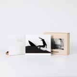 Figure "Surfing · Re-entry snap" next to its sleeve and its gift box