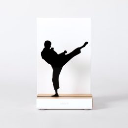 Figure "Karate · Yoko geri kekomi, high kick", front view