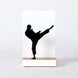 Figure "Karate · Yoko geri kekomi, high kick", front view